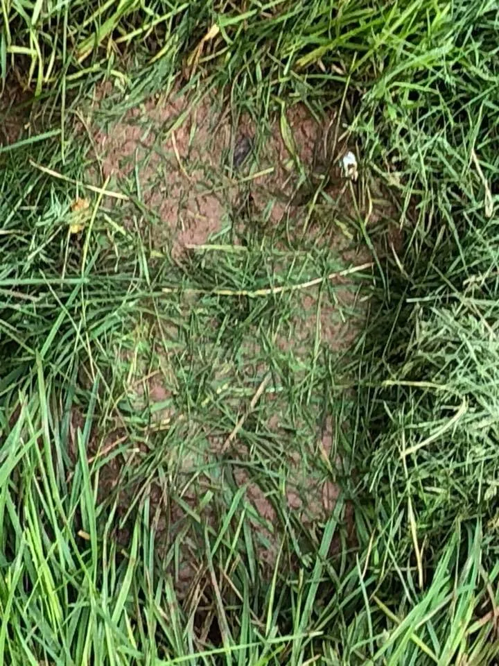 Expert garden landscaping for year-round maintenance in Newtown, PA by Realty Landscaping Corp