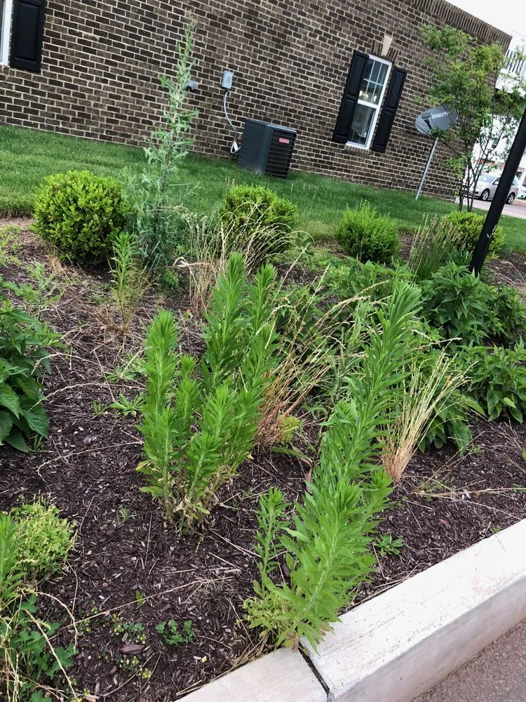 Trusted outdoor landscaping for homes across Newtown, PA - Realty Landscaping Corp