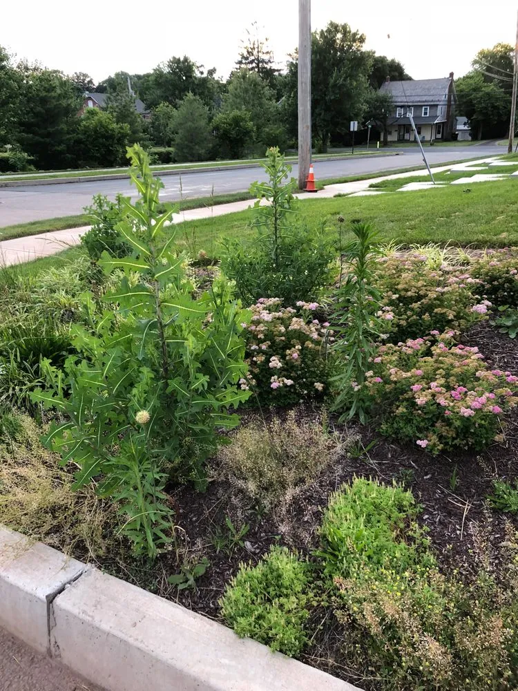 Custom yard maintenance for year-round maintenance across Newtown, PA - Realty Landscaping Corp