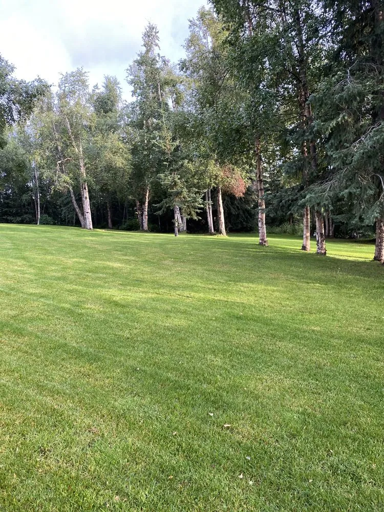 Professional yard maintenance experts serving Anchorage, AK - Reaper Lawns