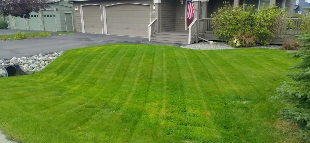 Expert yard cleanup service in Anchorage, AK by Reaper Lawns