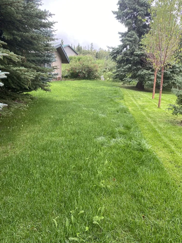 Custom lawn mowing service in Anchorage, AK by Reaper Lawns