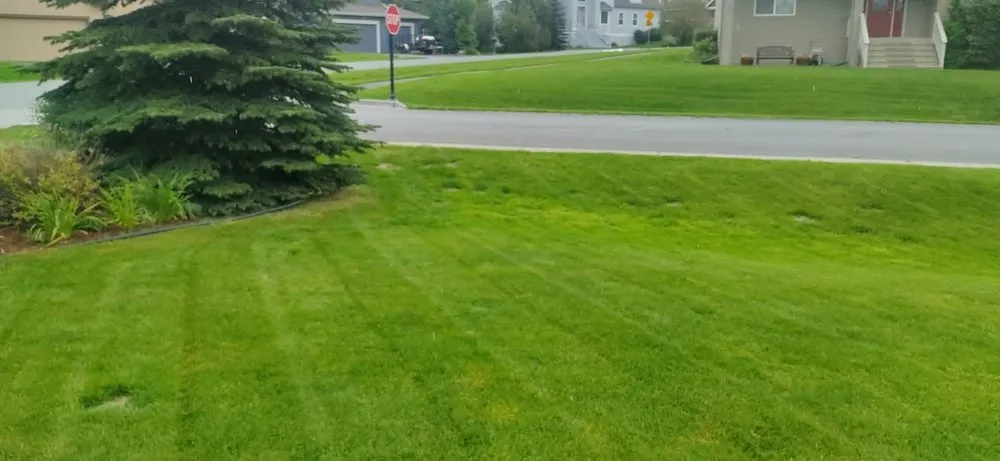 Professional landscaping services experts serving Anchorage, AK - Reaper Lawns