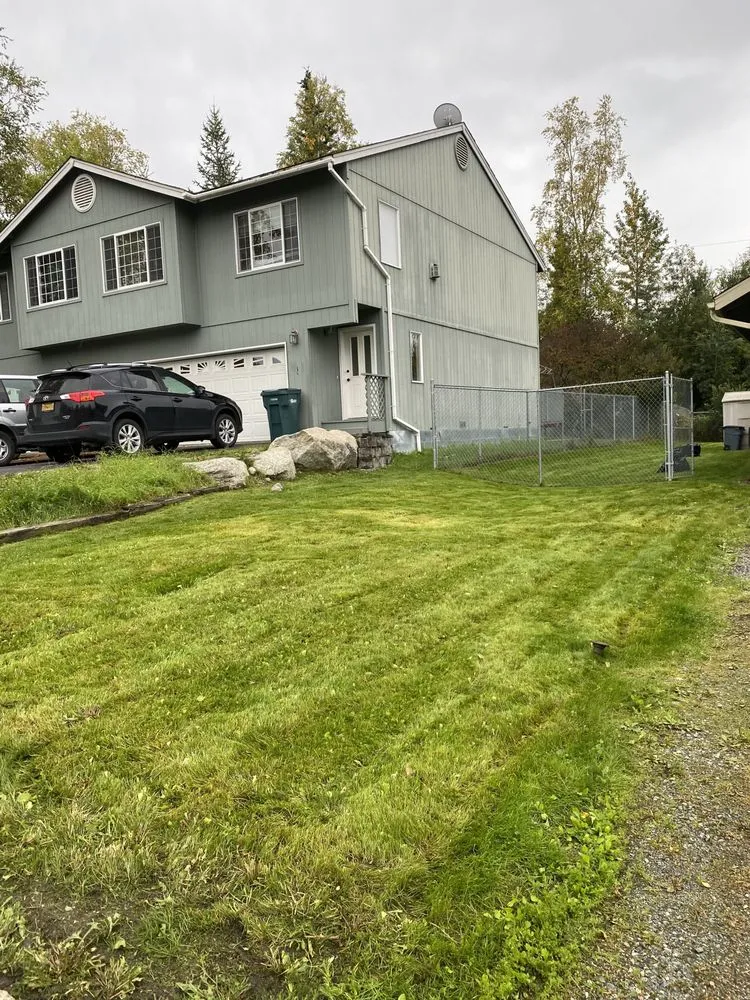 Professional yard cleanup service in Anchorage, AK - Reaper Lawns