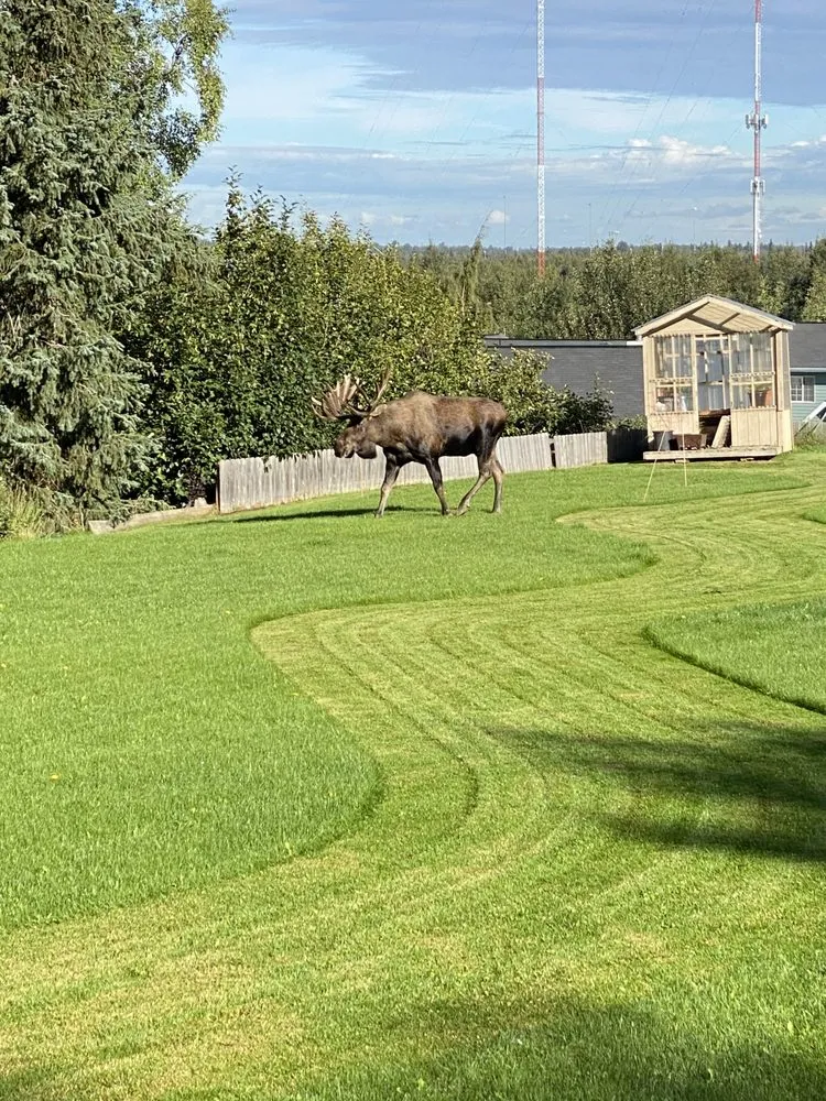 Top-rated landscape design in Anchorage, AK - Reaper Lawns