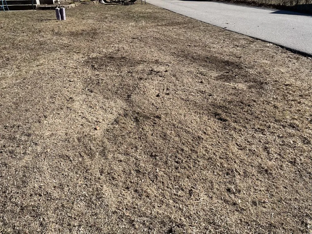 Affordable lawn mowing service for homes across Groton, CT - Reaper Stump Removal