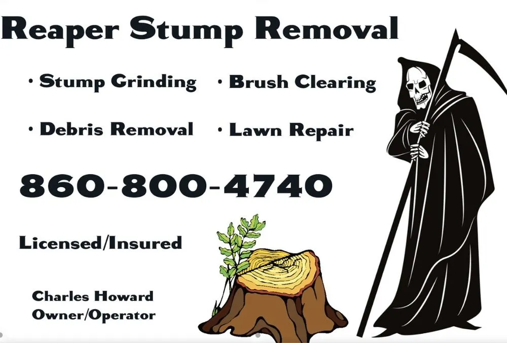 Reliable lawn care service in Groton, CT - Reaper Stump Removal