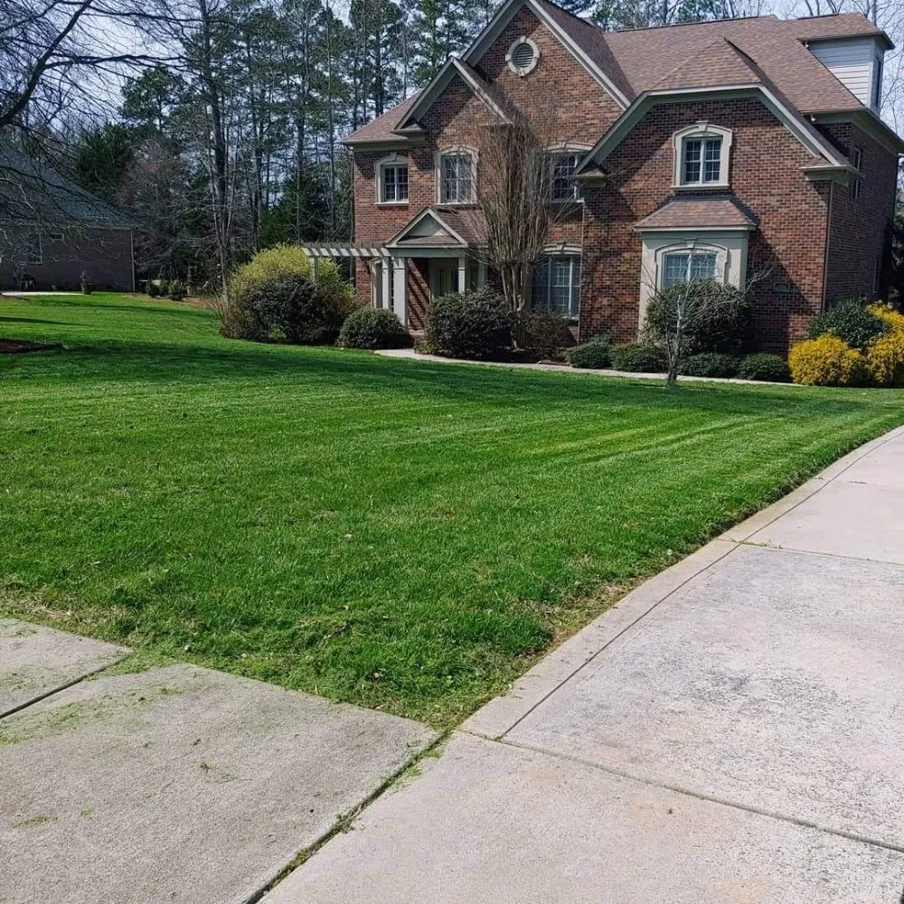 Reliable yard cleanup service in Charlotte, NC - Reape's Lawn Care