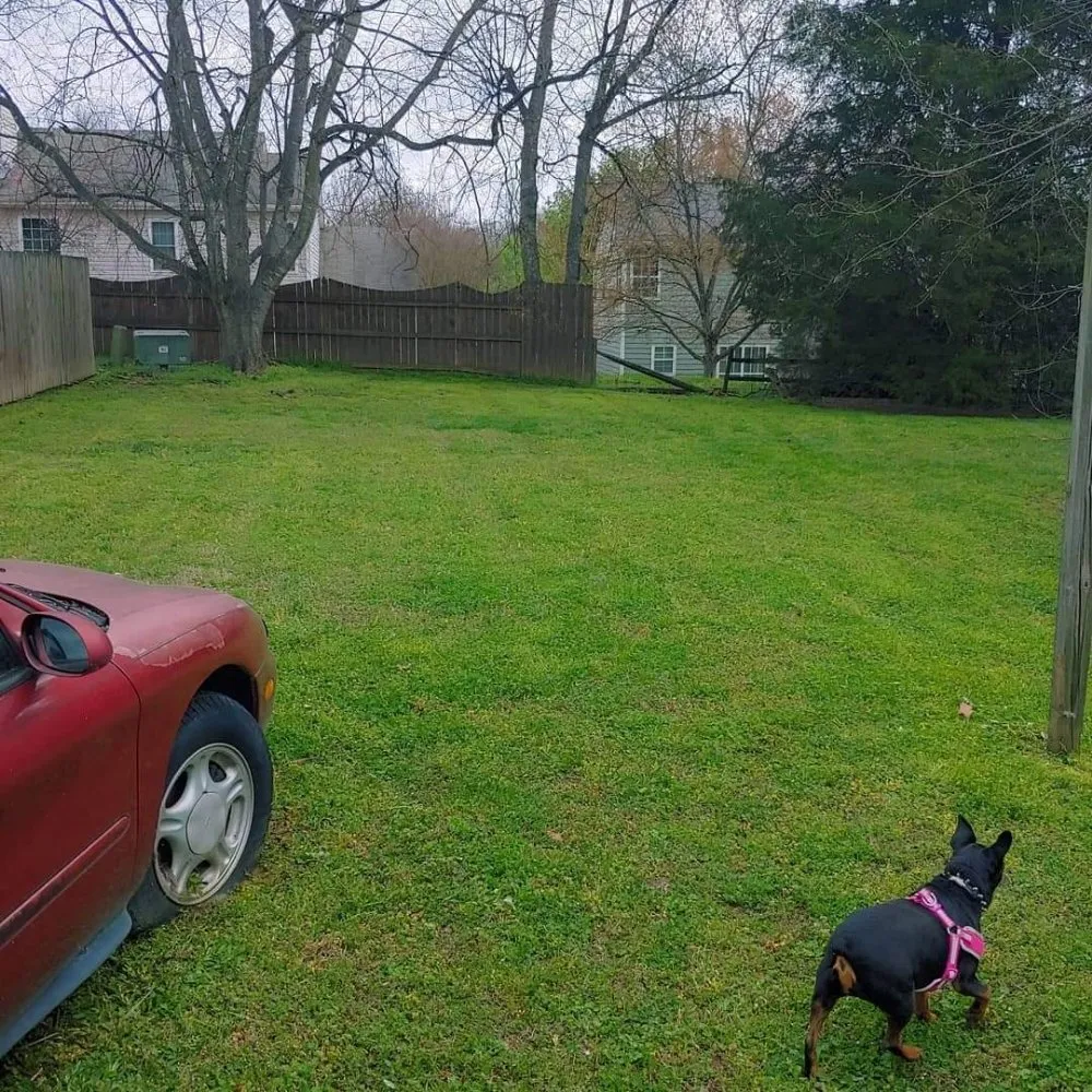 Top-rated outdoor landscaping in Charlotte, NC - Reape's Lawn Care