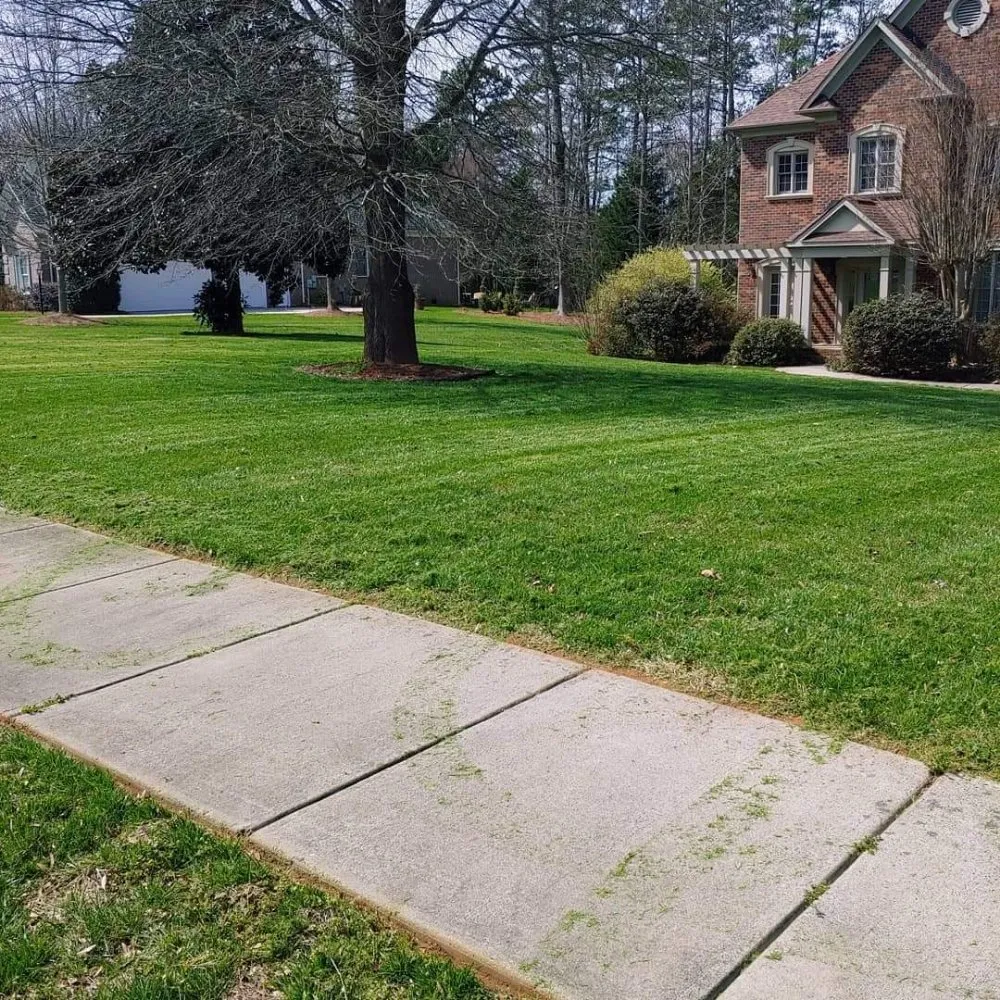 Local outdoor landscaping near you across Charlotte, NC - Reape's Lawn Care