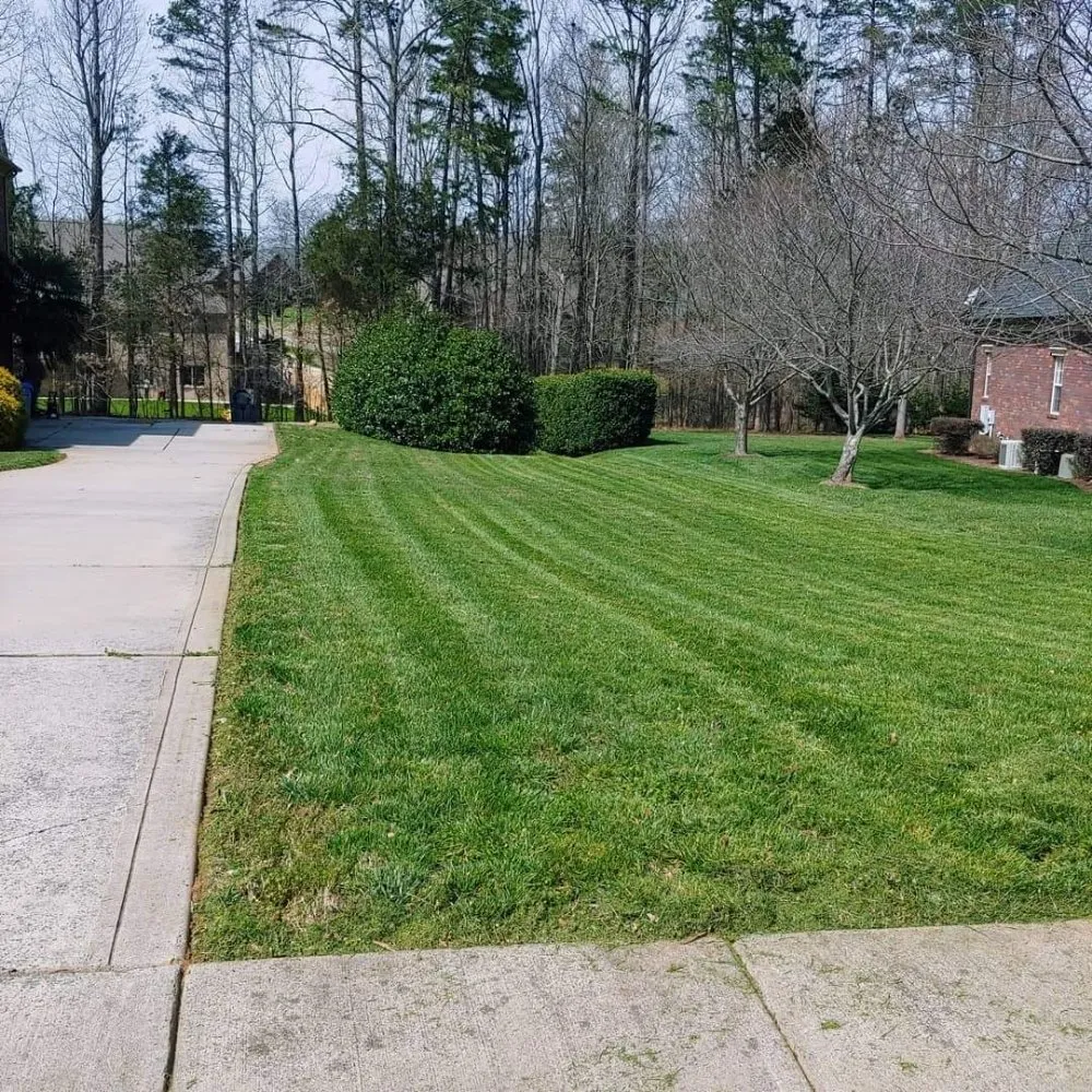Affordable residential landscaping in Charlotte, NC by Reape's Lawn Care