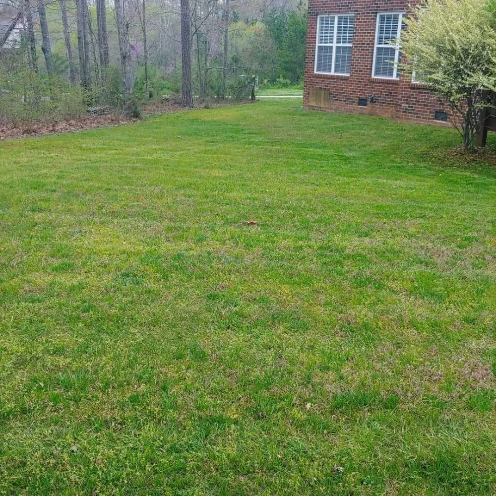 Affordable yard cleanup service near you in Charlotte, NC by Reape's Lawn Care