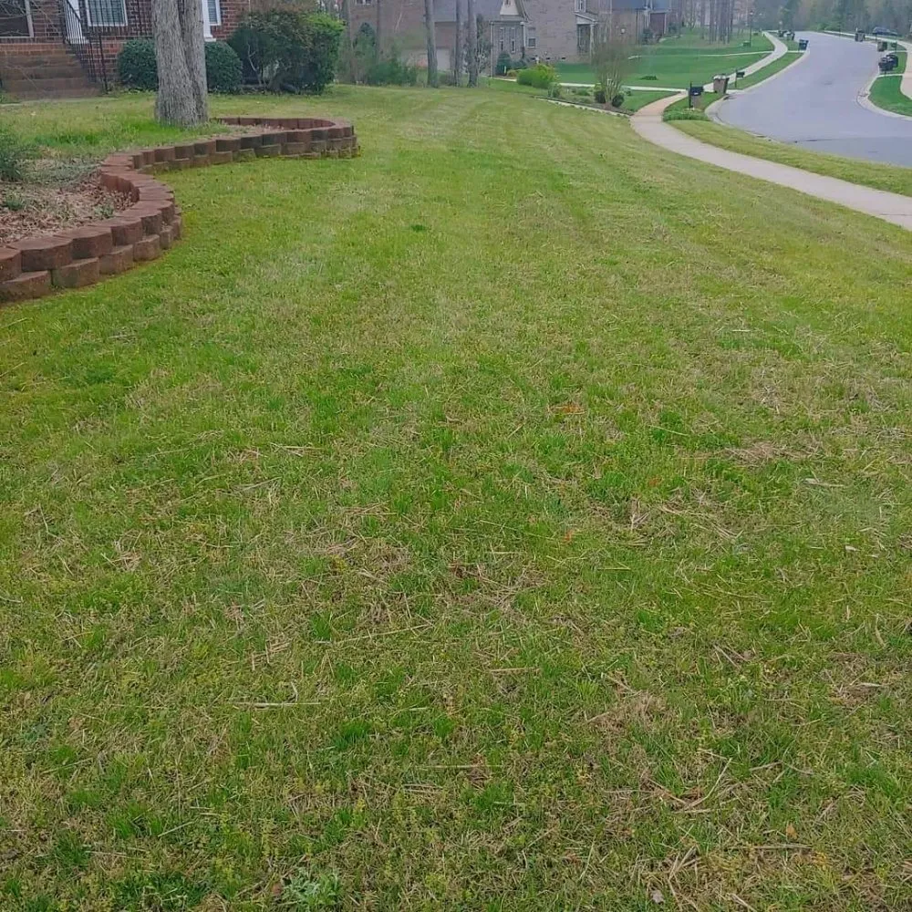 Expert residential landscaping experts serving Charlotte, NC - Reape's Lawn Care