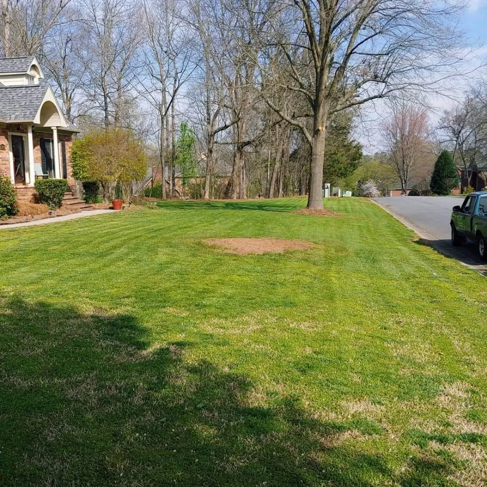 Expert landscape design for residential properties across Charlotte, NC - Reape's Lawn Care