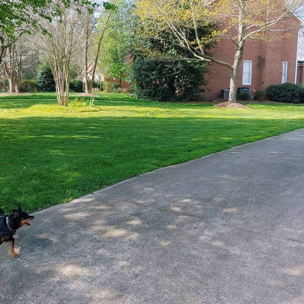 Custom yard cleanup service experts serving Charlotte, NC - Reape's Lawn Care