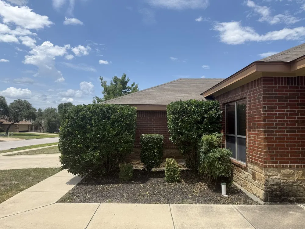 Top-rated residential landscaping near you across Killeen, TX - Reardon Hedge