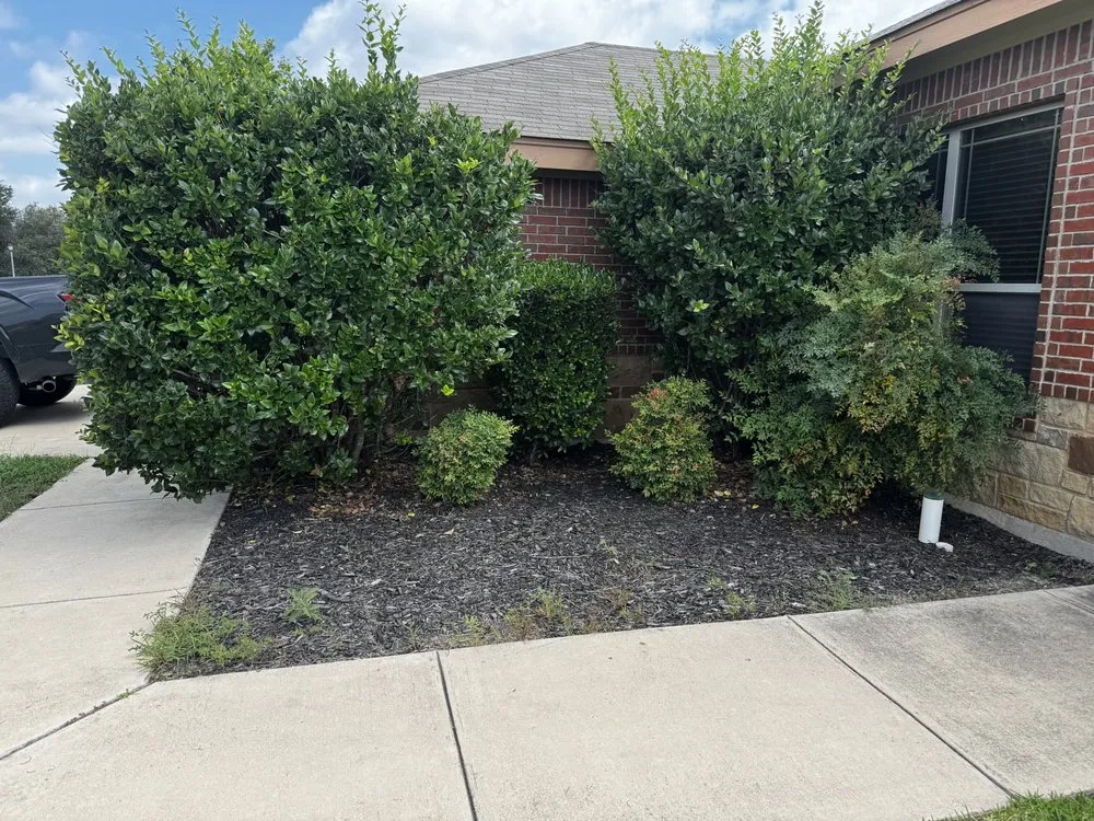 Professional residential landscaping in Killeen, TX by Reardon Hedge