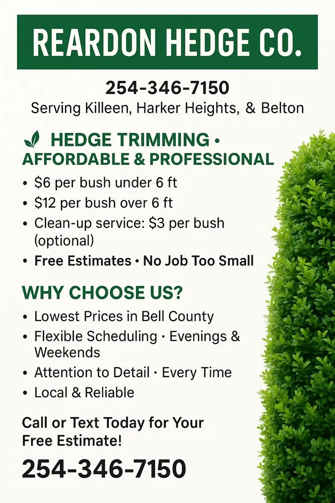 Professional residential landscaping with custom design in Killeen, TX by Reardon Hedge