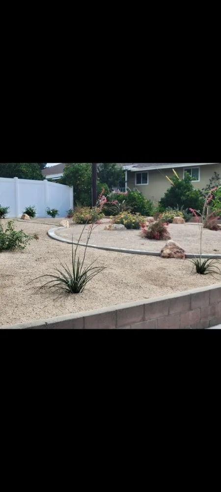 Local residential landscaping for year-round maintenance in Mentone, CA by Rea's Gardening