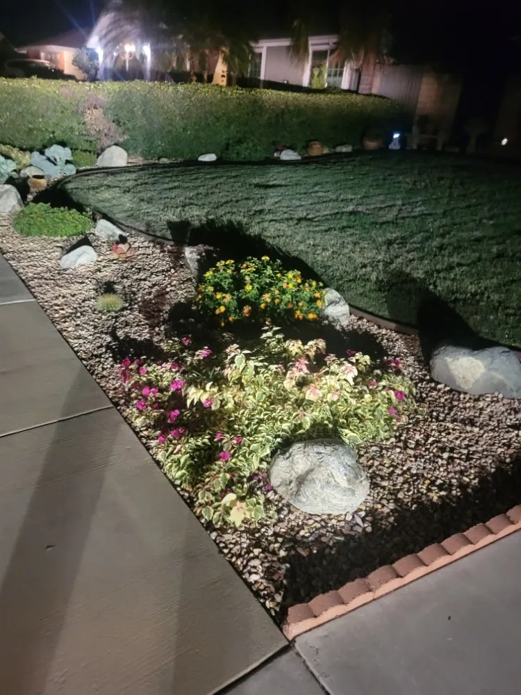 Reliable landscaping services for beautiful yards in Mentone, CA by Rea's Gardening