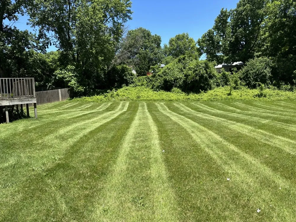 Expert lawn care service for year-round maintenance across Florissant, MO - Reasonable Grass Cuts And Hauling