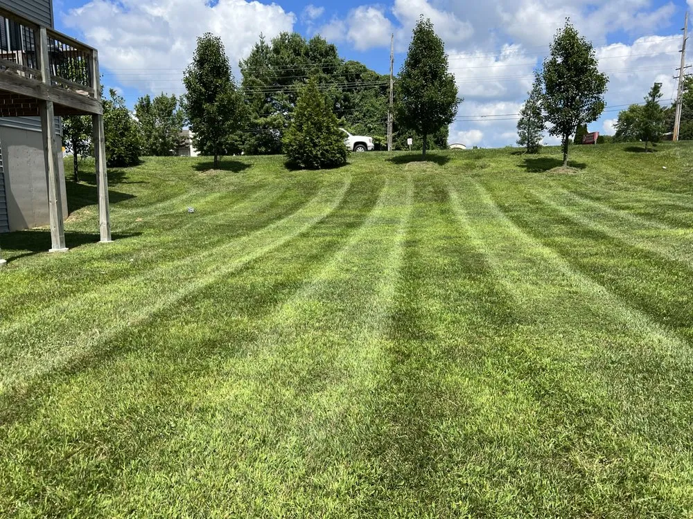 Professional lawn mowing service experts serving Florissant, MO - Reasonable Grass Cuts And Hauling