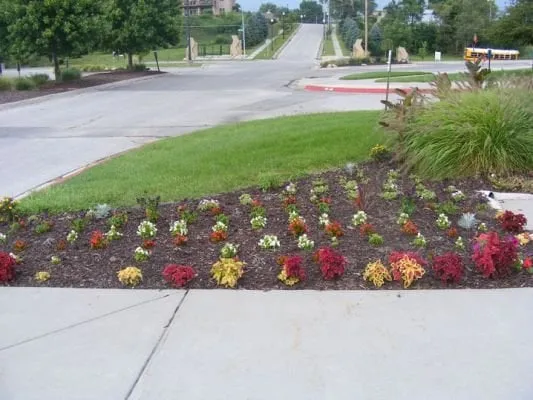 Expert yard cleanup service experts serving Omaha, NE - Reasonable Lawn Care