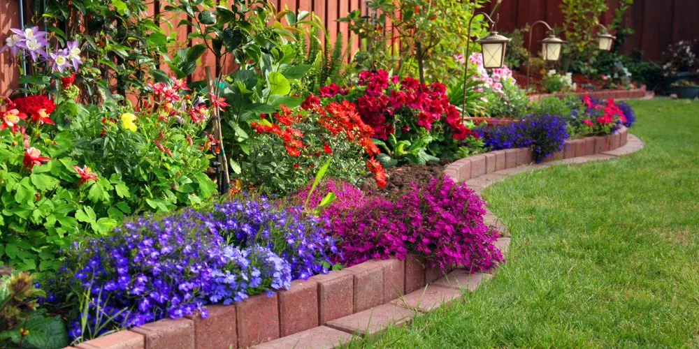 Reliable lawn mowing service in Vacaville, CA - Reasonable Lawn Care