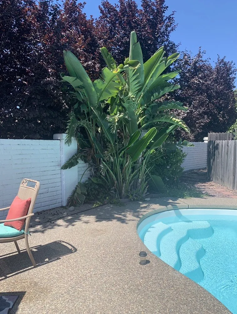 Reliable outdoor landscaping for outdoor upgrades in Vacaville, CA by Reasonable Lawn Care