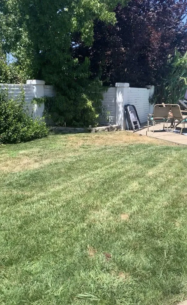 Professional landscape design in Vacaville, CA by Reasonable Lawn Care
