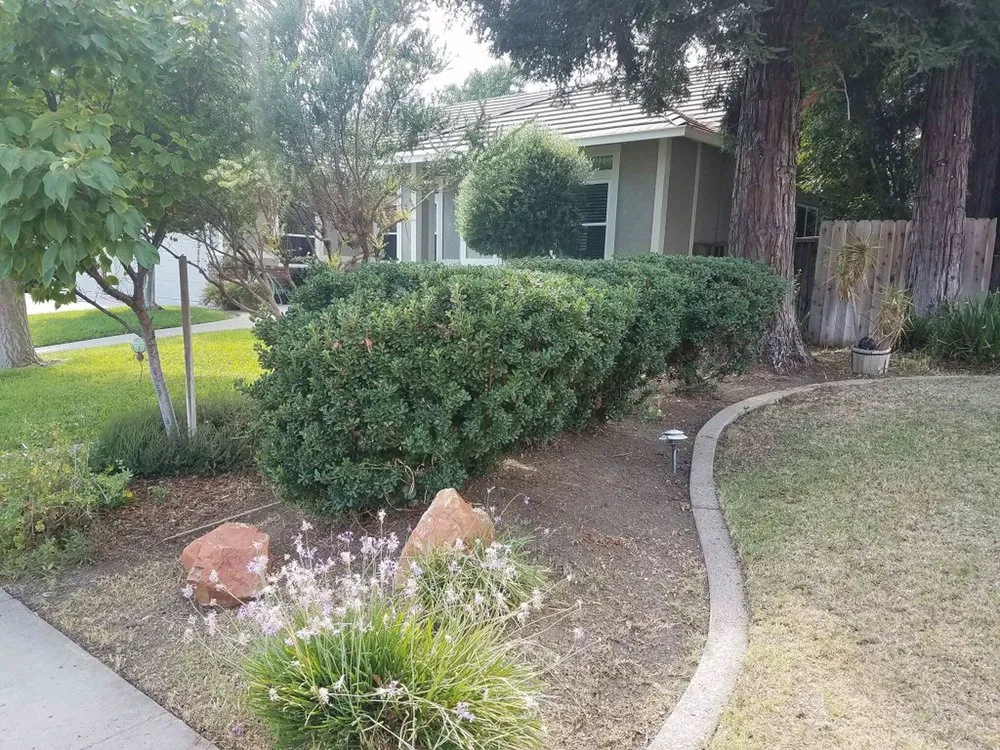 Top-rated garden landscaping for residential properties across Vacaville, CA - Reasonable Lawn Care