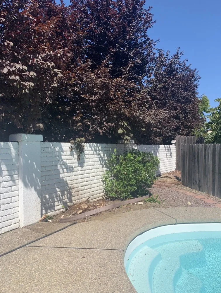 Expert garden landscaping in Vacaville, CA by Reasonable Lawn Care