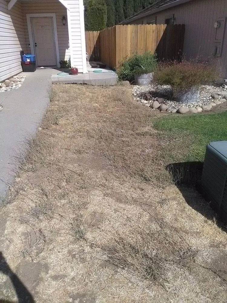 Affordable landscape design for year-round maintenance in Vacaville, CA by Reasonable Lawn Care