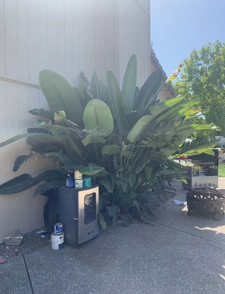 Local landscape design in Vacaville, CA - Reasonable Lawn Care