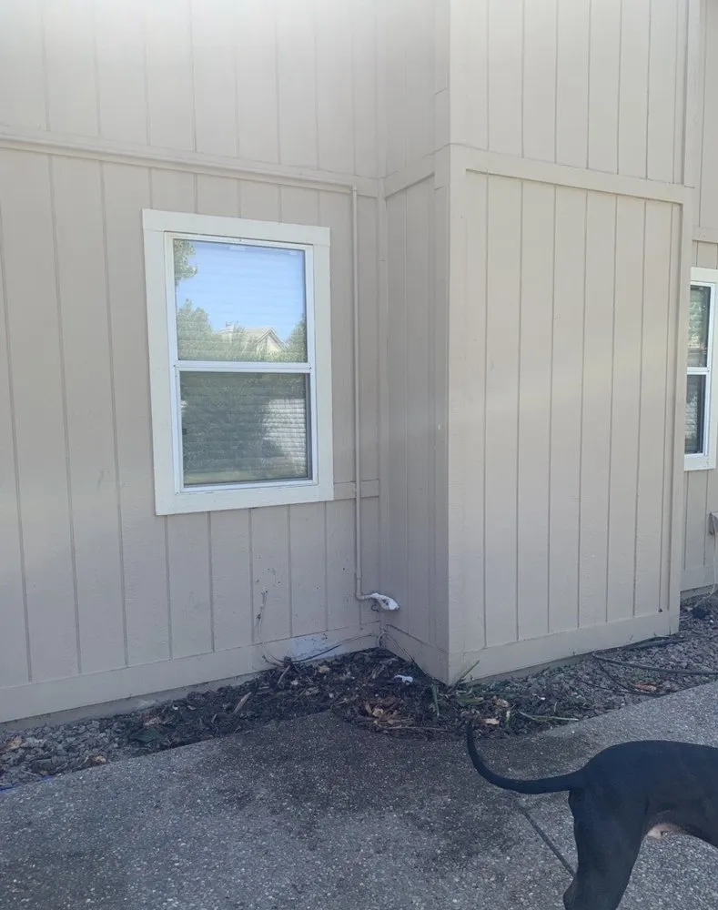 Local yard cleanup service for residential properties across Vacaville, CA - Reasonable Lawn Care