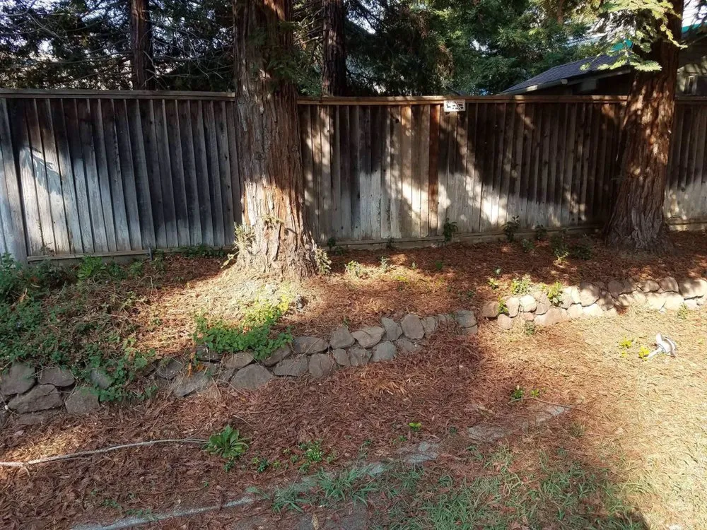 Professional landscaping services in Vacaville, CA by Reasonable Lawn Care