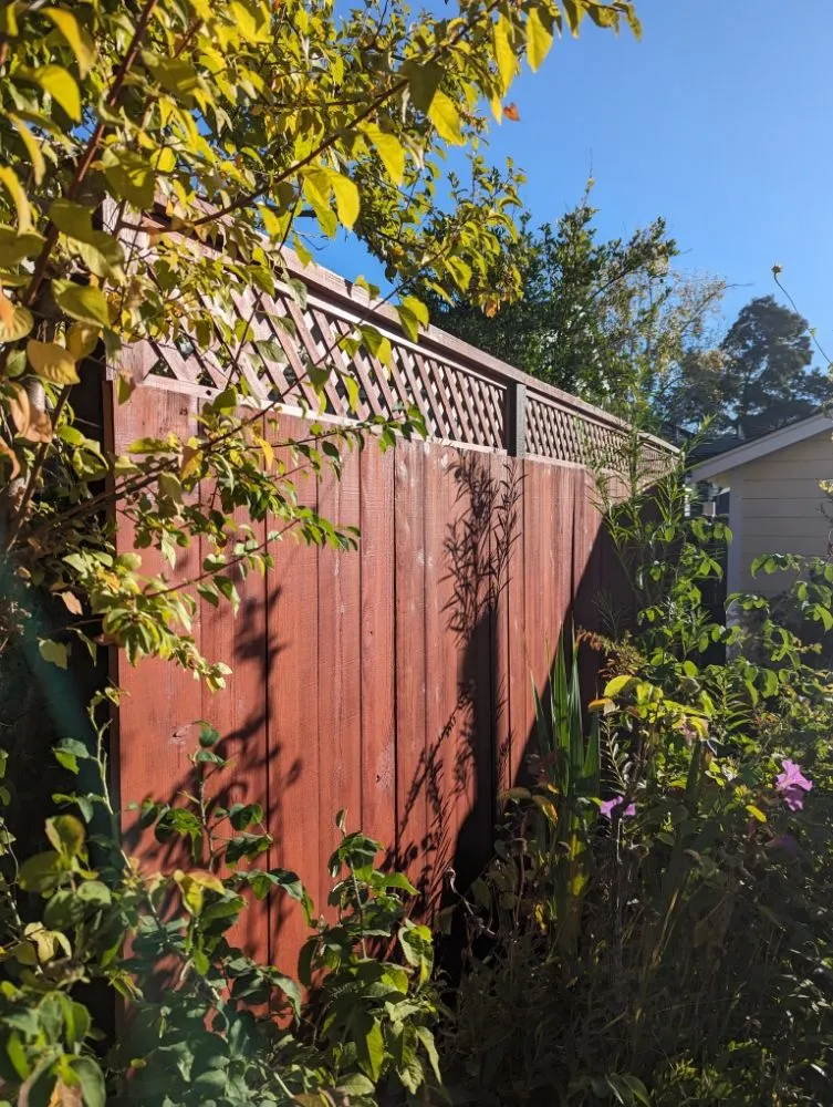 Local residential landscaping experts serving San Rafael, CA - Reasonable Remodels