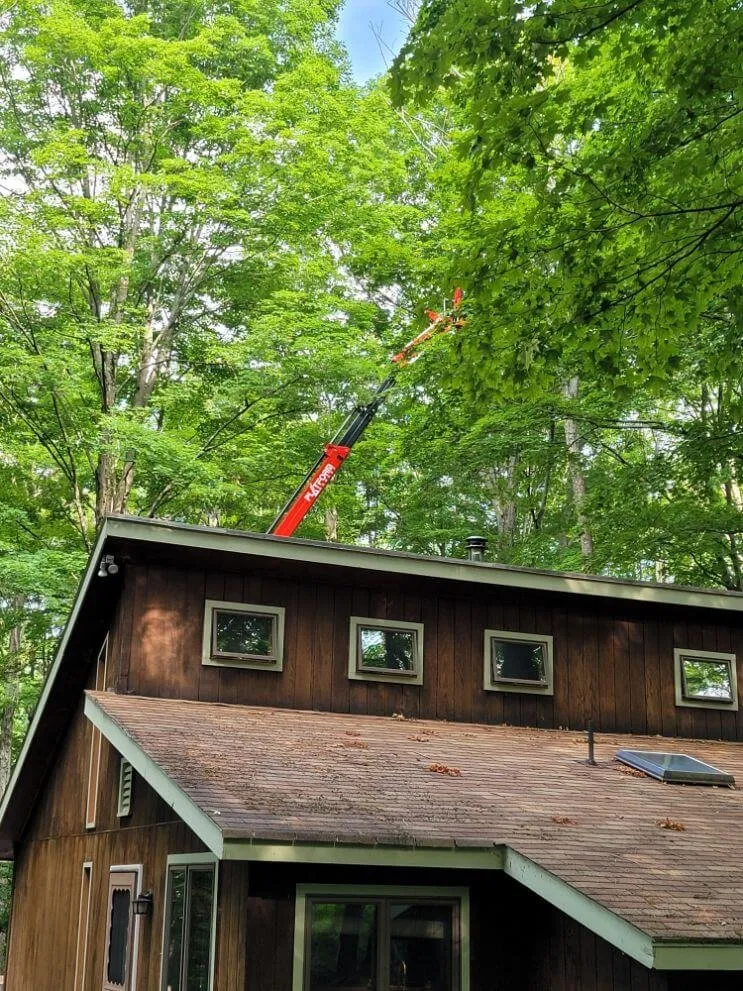 Reliable residential landscaping in Clifton Township, PA by Reasonable Tree Experts