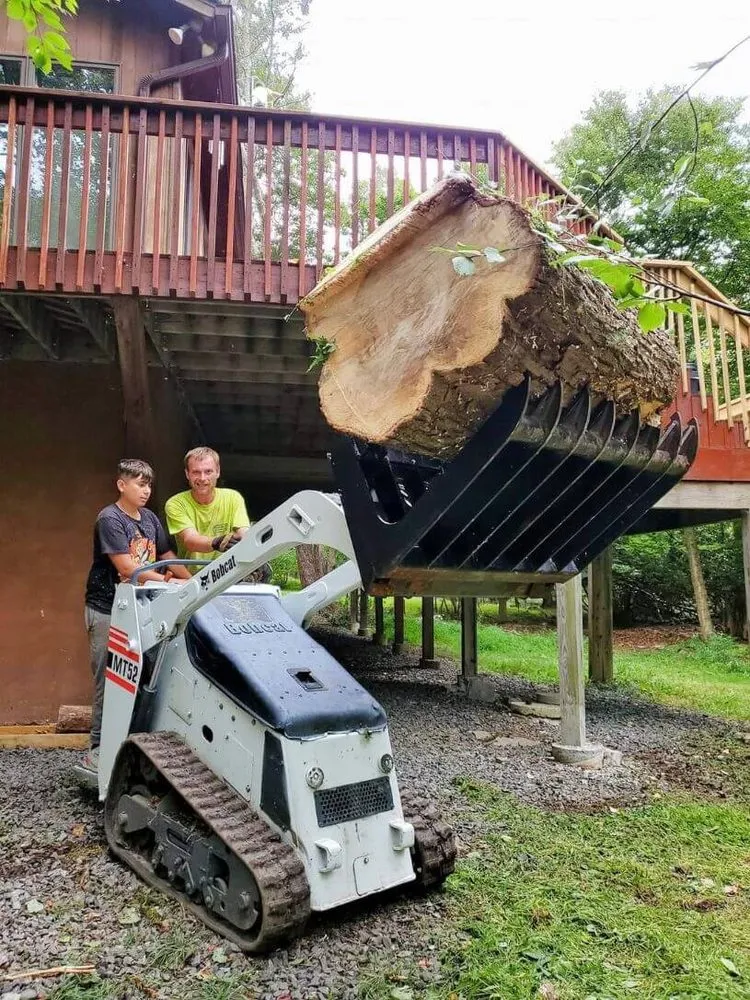 Expert landscape installation in Clifton Township, PA by Reasonable Tree Experts