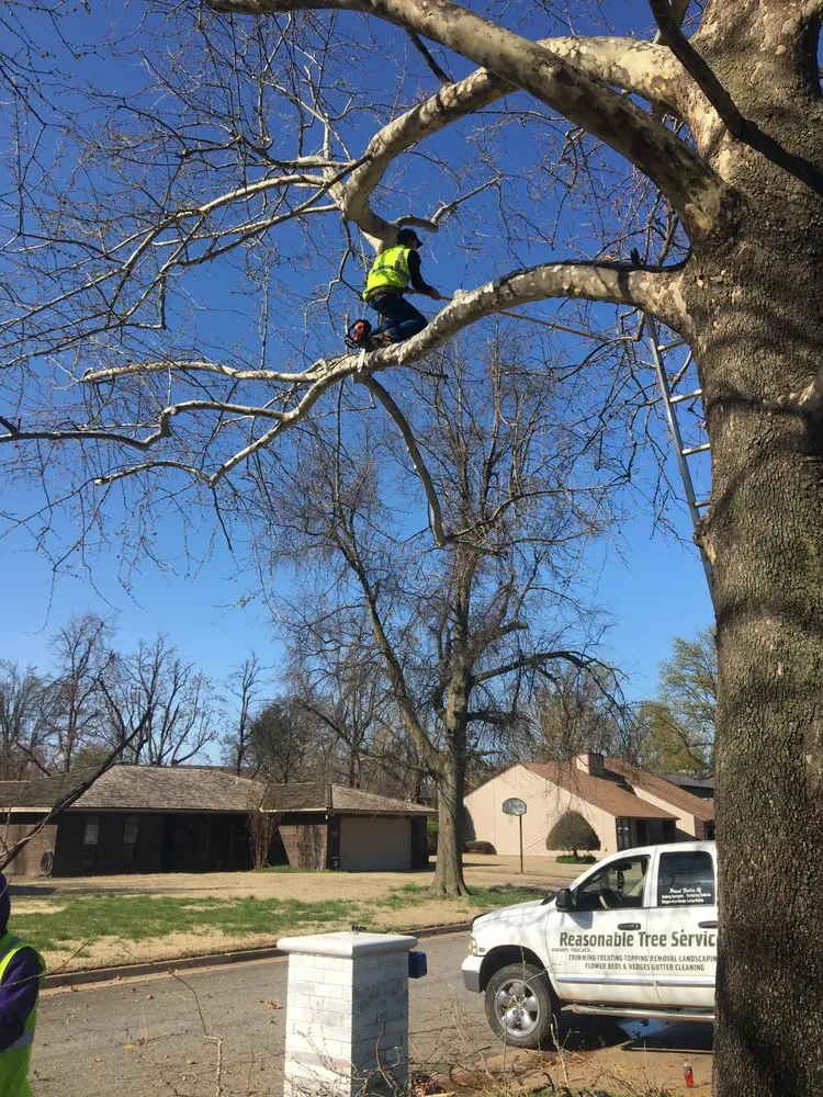 Local residential landscaping for homes across Enid, OK - Reasonable Tree Service
