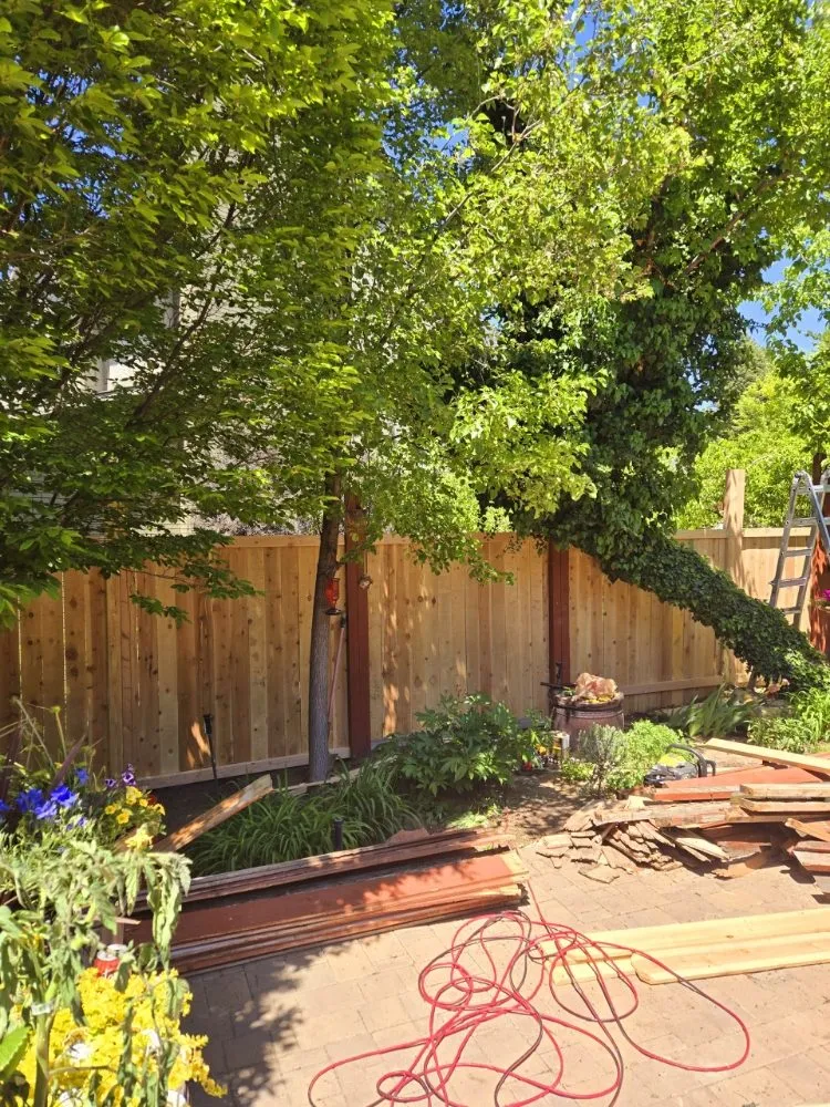 Reliable residential landscaping near you in Sandy, UT by Reasonable Tree Services