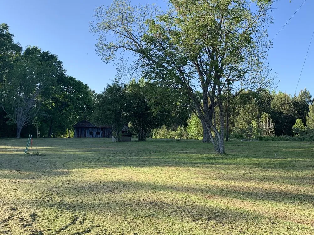 Professional landscape design in Columbia, SC by Reaves Lawn And Handman Service