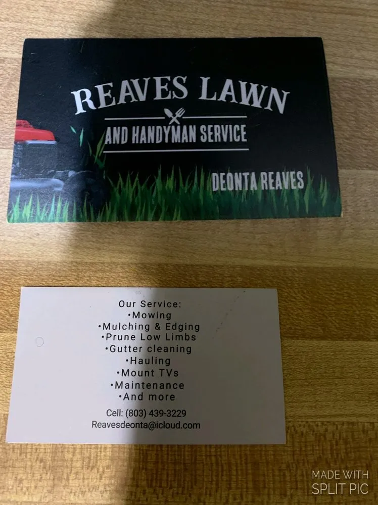 Affordable outdoor landscaping for homes in Columbia, SC by Reaves Lawn And Handman Service