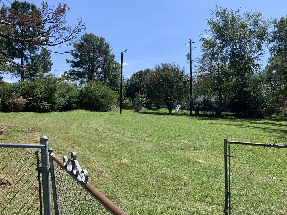 Expert landscaping services in Columbia, SC by Reaves Lawn And Handman Service