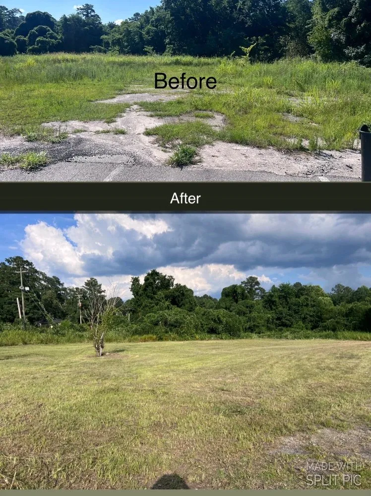 Professional yard cleanup service experts serving Columbia, SC - Reaves Lawn And Handman Service