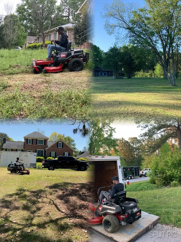 Top-rated landscaping services for beautiful yards across Columbia, SC - Reaves Lawn And Handman Service