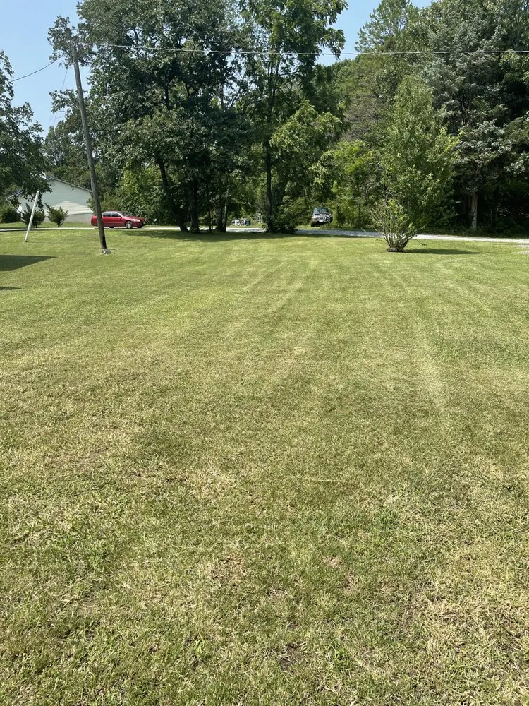 Reliable lawn mowing service for beautiful yards in Lynchburg, VA by Reaves Lawn Care
