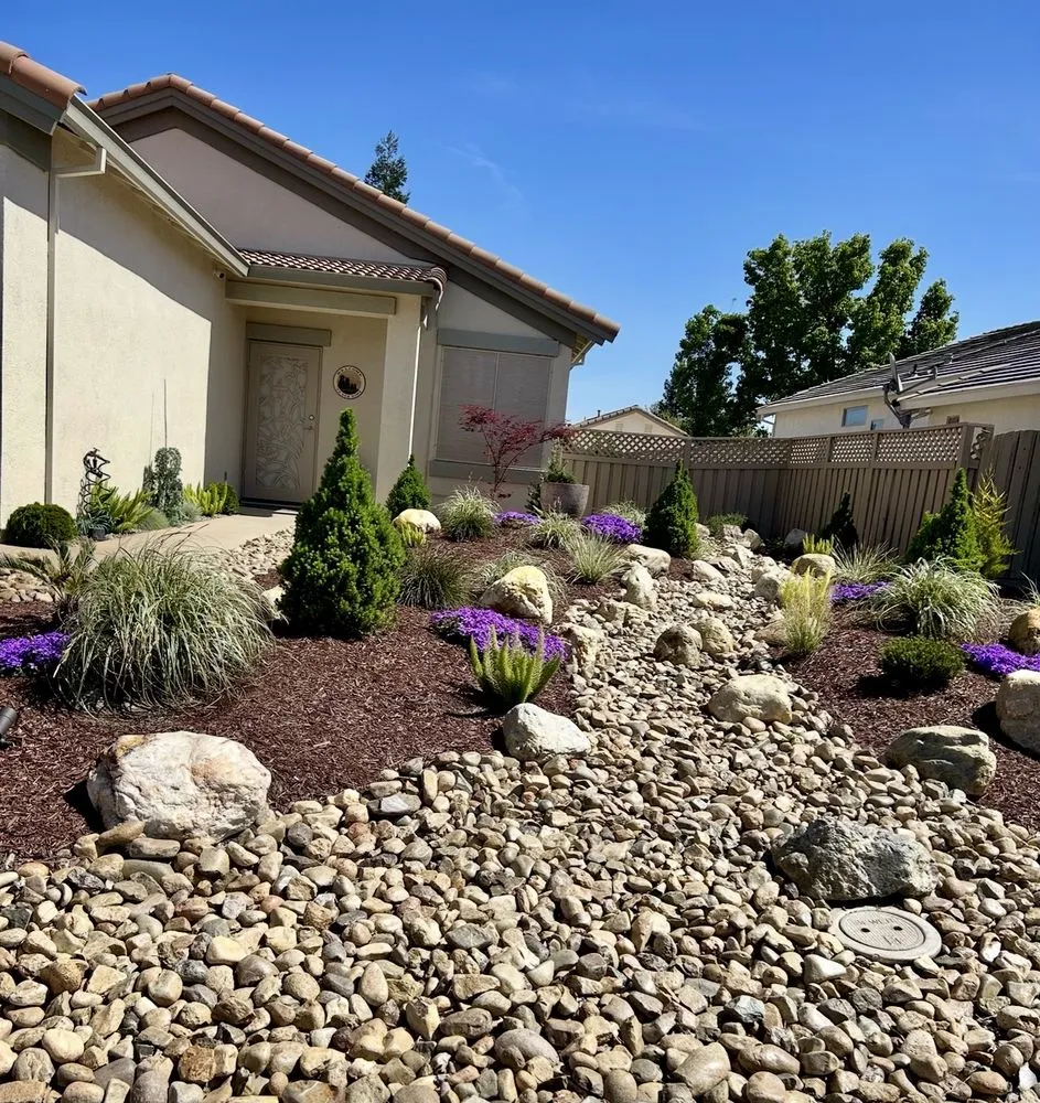 Local landscape installation for residential properties in Newcastle, CA by Rebark Time