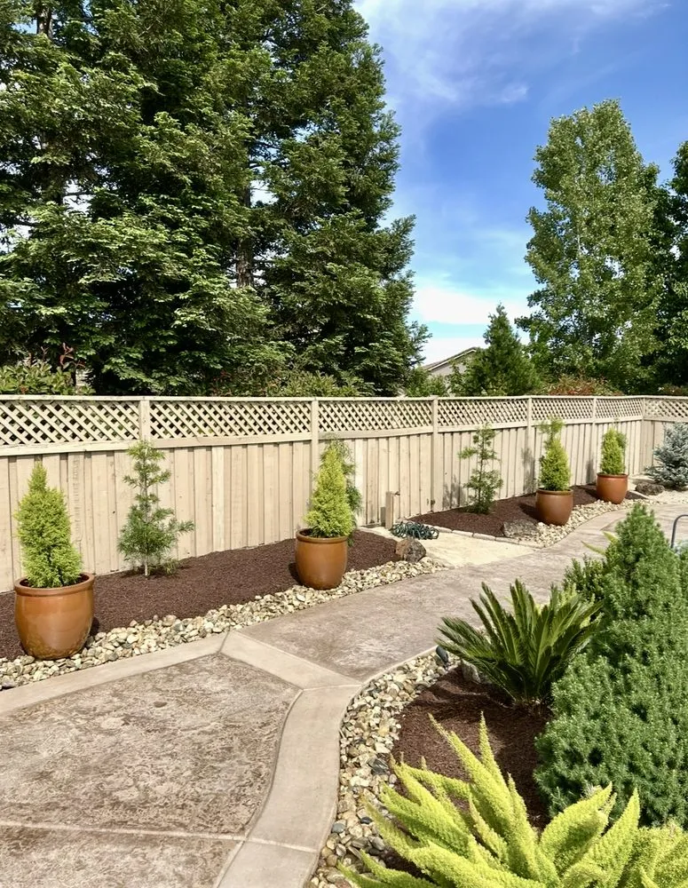 Trusted yard cleanup service for year-round maintenance across Newcastle, CA - Rebark Time