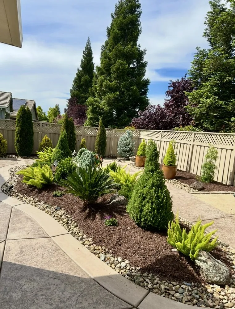 Reliable yard cleanup service in Newcastle, CA by Rebark Time